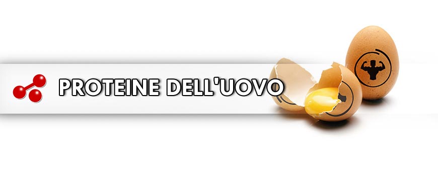 PROTEINE DELL'UOVO